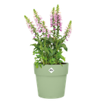 vibia straight rund 47cm pistazien grün